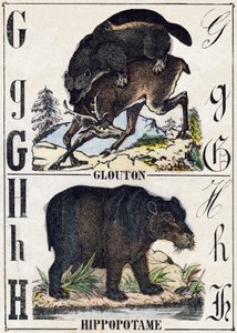 Bogstav G Glutton; H Flodhest. Indgravering i "" Alphabet des animaux sauvages "". 9. serie. Billede af Epinal, Pellerin, trykkeri-udgiver, ca. 1870. Graveringer på træ, stencileret. 16 sider. Mål: 20 x 15 cm. Privat samling af French School