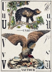 Bogstav U Unau (doven); V Grib. Indgravering i "" Alphabet des animaux sauvages "". 9. serie. Billede af Epinal, Pellerin, trykkeri-udgiver, ca. 1870. Graveringer på træ, stencileret. 16 sider. Mål: 20 x 15 cm. Privat samling af French School