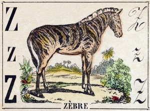 Bogstav Z Zebra. Indgravering i "Wild Animals Alphabet". 9. serie. Billeder af Epinal, Pellerin, trykkeri-udgiver, ca. 1870. Graveringer på træ, stencileret. 16 sider. Størrelse: 20 x 15 cm. Privat samling af French School