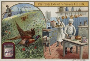 Liebig-kort med fasaner af French School