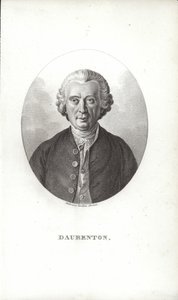 Louis-Jean-Marie Daubenton af French School