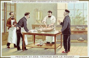 Louis Pasteur (1822-95) arbejder på undersøgelse af mæslinger, reklamekort for Chocolaterie dAiguebelle