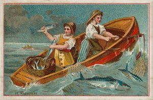 Makrel (chromolitho) af French School