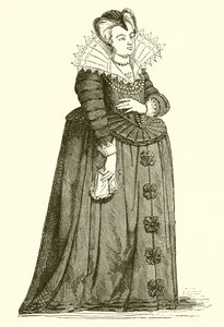 Mary de Medici som enke af French School