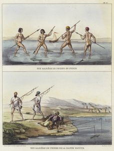 Fiskerimetoder i Nubien og Egypten af French School