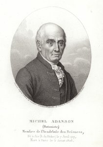 Michel Adanson af French School