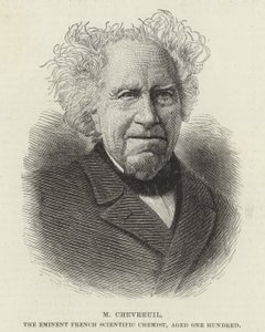 Michel Eugene Chevreul af French School