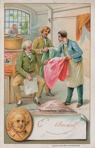 Michel Eugene Chevreul, fransk kemiker (1786-1889), inspicerer nogle nye farvestoffer af French School