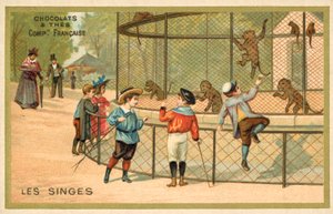 Aber (chromolitho) af French School