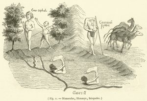 Monocules, Blemmys, Sciopodes (gravering) af French School
