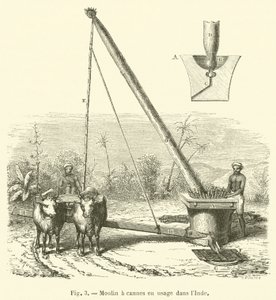 Rørrørsmølle i brug i Indien (gravering) af French School