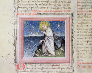 Ms 313 Creation of the Animals, fra Bible des Grands Augustins af French School
