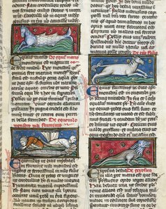 MS 320 Fol.115r Sea Monsters, fra 