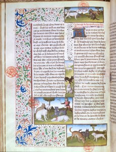 Ms 3717 Jagthunde, fra Livre de la Chasse af Gaston Phebus de Foix (1331-91) (vellum) af French School