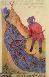 Ms 59 fol.3r Fisherman, fra Grand Herbier af French School