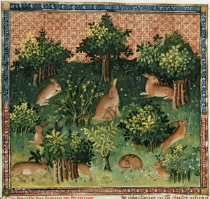 Fr 616 fol.24v Harer i en skov, fra Livre de la Chasse af Gaston Phebus de Foix (1331-91) af French School
