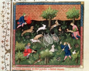 Fr 616 fol.92 Jagt harer, fra Livre de la Chasse af Gaston Phebus de Foix (1331-91), slutningen af det 15. århundrede af French School