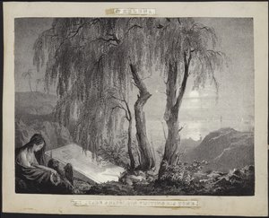 Napoleon Bonaparte besøger sin grav på St. Helena