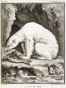 Naturhistorisk tavle: Havbjørnen æder en sæl - i "Naturhistorie, almindelig og speciel" af Buffon af French School
