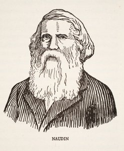 god fornøjelse af French School