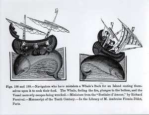 Navigatører, der har forvekslet en hval tilbage for en ø, der sætter sig på den for at lave mad, fra Bestiaire dAmour, illustration fra Science and Literature in the Middle Age og R. af French School