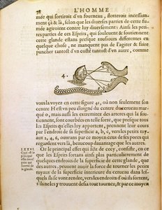 Optisk diagram, fra De Homine Figuris af Rene Descartes (1596-1650) udgivet i Haag, 1662 af French School