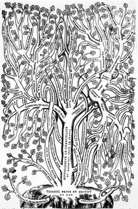 Organigram, der viser regeringens organisering i Frankrig i det 16. århundrede, 1579 af French School