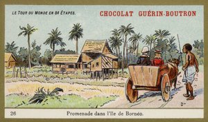 Oksevognstur på øen Borneo (chromolitho) af French School