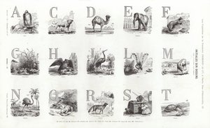 Side fra typografiske vignetter (gravering) af French School