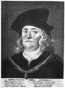 Paracelsus (1493-1541) af French School