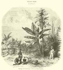 Landskab i Guadeloupe (gravering) af French School