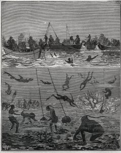 Perlefersken på Ceylon (nuværende Sri Lanka) i det 19. århundrede. Indgravering fra 1885 i "" Les arts et metiers illustres"" af Adolphe BITARD. af French School