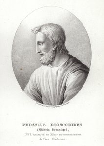 Pedanius Dioscorides af French School