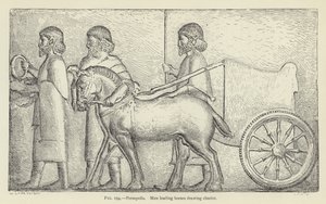 Persepolis, Mænd, der fører heste, der trækker vogn af French School