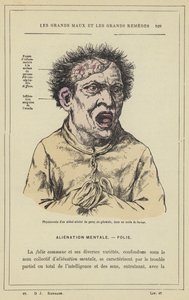 Fysiognomi af et rumvæsen ramt af paral sie generale, i et anfald af raseri (farve litho) af French School