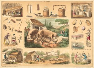 Gris (farvet gravering) af French School