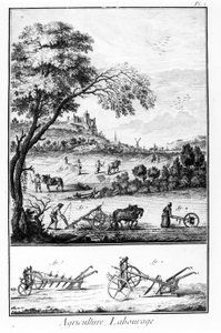 Plade af Encyclopedia of Diderot og Alembert: Landbrug og pløjning. 1700-tallet. af French School