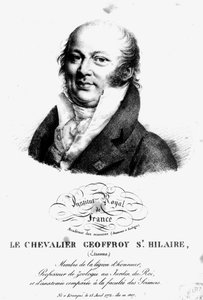 Portræt af Etienne Geoffroy Saint-Hilaire (1722-1844) af French School