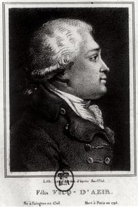 Portræt af Felix Vicq dAzyr (1748-94) af French School