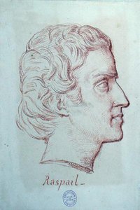 Portræt af Francois Vincent Raspail (1794-1878) (rødt kridt på papir) af French School