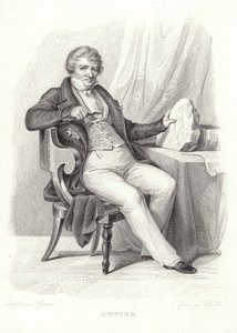 Portræt af George Cuvier af French School