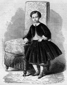 Portræt af Napoleon Eugene Louis Jean Joseph Bonaparte (1856-1879), kendt som Prince Imperial, søn af Napoleon III. Indgravering i "" Le Monde Illustré"" nr. 137 af 26. november af French School