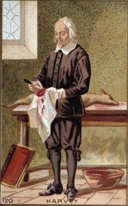 Portræt af William Harvey (1578-1657), engelsk læge. af French School