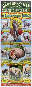 Plakat, der reklamerer for Collection de Rares Animaux Sauvages til Barnum og Bailey cirkus