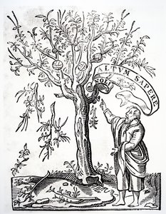 Robert Estiennes printeremblem, Paris, 1526 af French School