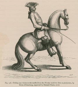 Pulling up a Horse on Snaffle (fra Manege moderne dans sa perfection, af Baron dEisenberg, graveret af Bernard Picart, 1727) af French School
