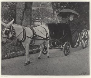 Dronning Victoria i Cimiez af French School