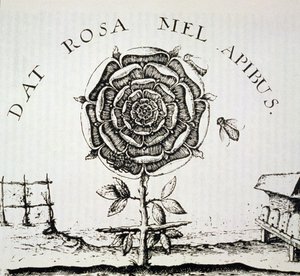 Rosicrucian Allegory, kopi af en gravering af Johann Theodore de Bry (ca. 1598), brugt i en History of Magic, udgivet sent i det 19. århundrede af French School