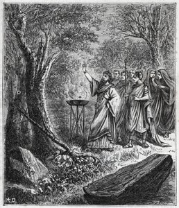 STRUFERTARI (fest i det gamle Rom for at rense de sprængte træer) - Indgravering i "" Videnskaber bragt til forståelse af alle - populær fysik og kemi"" af Alexis Clerc - Slutningen af det 19. århundrede. Privat samling. af French School