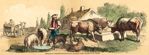 Salt (farvet gravering) af French School